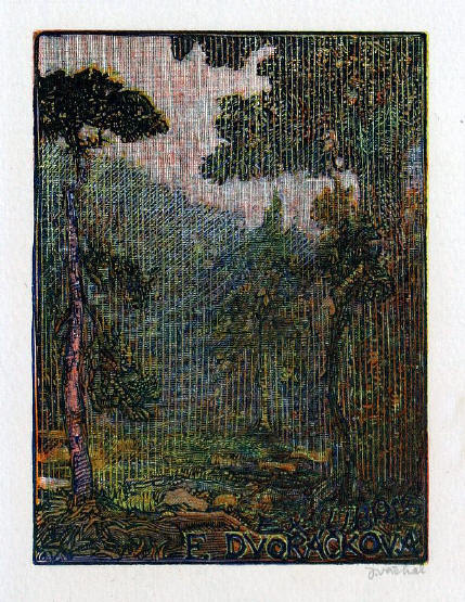 http://www.galerieart.cz/vachal_destivy_les.JPG