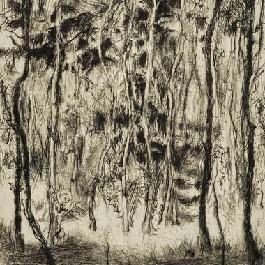 Grafiky - rámované II